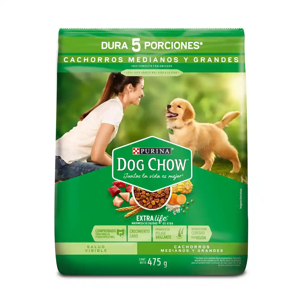 Dog Chow Salud Visible Cachorros Medianos y Grandes 8Kg