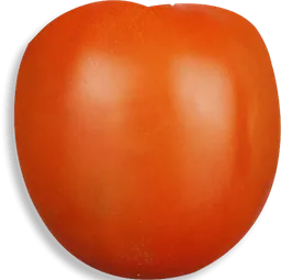 Tomate Chonto Parejo