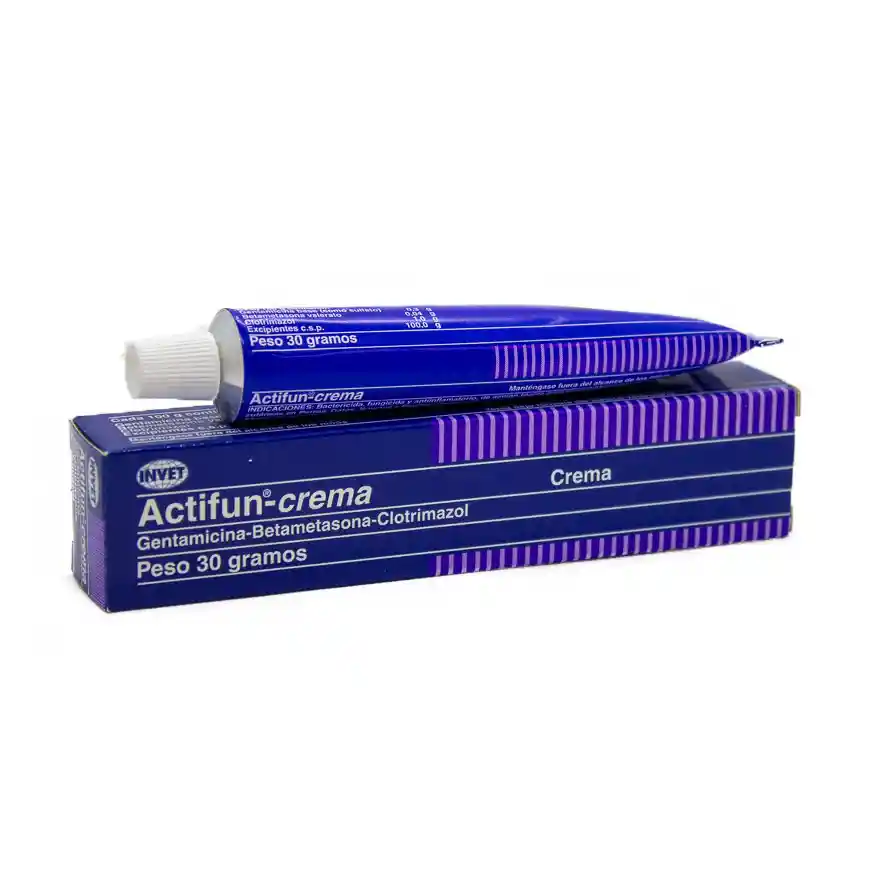 Actifun Crema (0.3g / 100g / 0.04 g / 100g / 1.0 g / 100g)