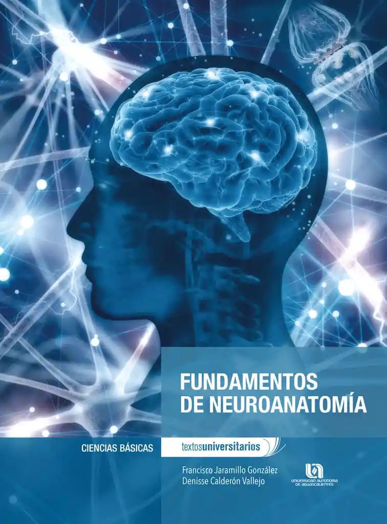 Fundamentos de Neuroanatomía