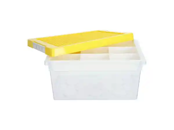 Caja Multifunciones Plástica Casaideas
