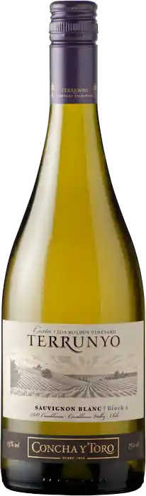 Terrunyo Vino Blanco Sauvignon Blanc Botella