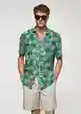 Camisa Palm-H Verde Talla XL Hombre Mango
