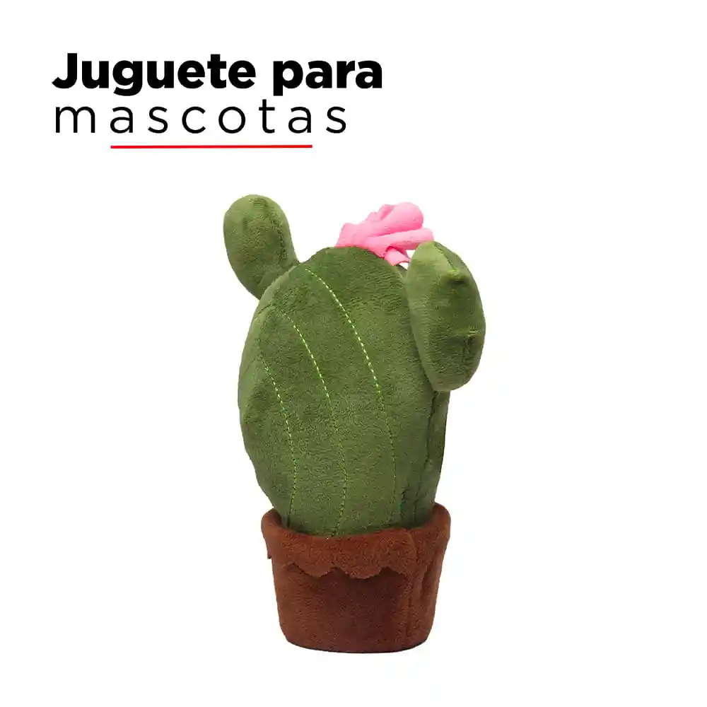 Miniso Peluche Para Mascota Cactus