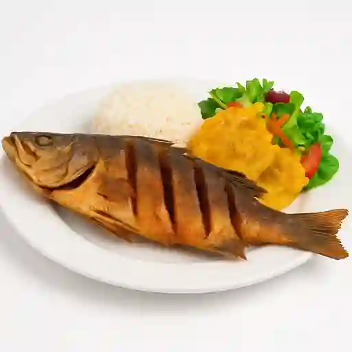 Robalo Frito 800g