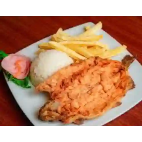 Trucha Grande Frita O en Salsa