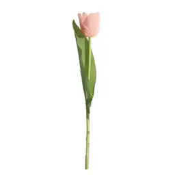 Tulipan Gio Home Mediano Rosado Blanco