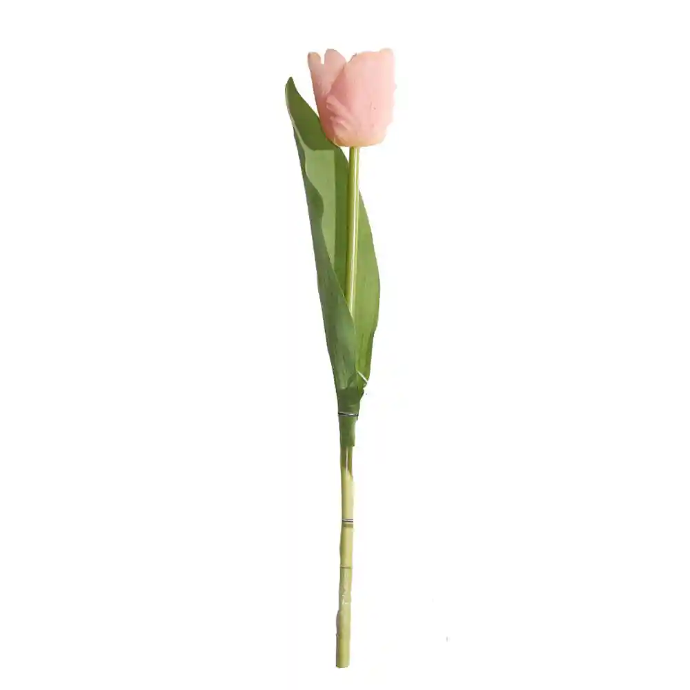 Tulipan Gio Home Mediano Rosado Blanco