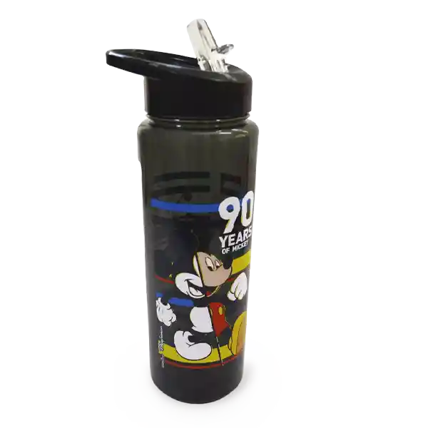 Fantiplas Botella Everest Mickey