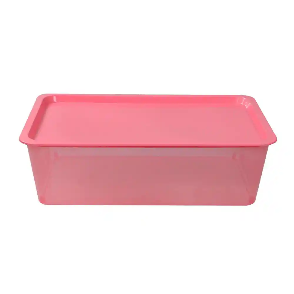 Caja Krea Plástica Esencial Rosa