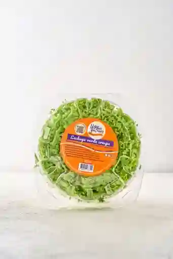 Gourmet Veggies Lechuga Verde Crespa