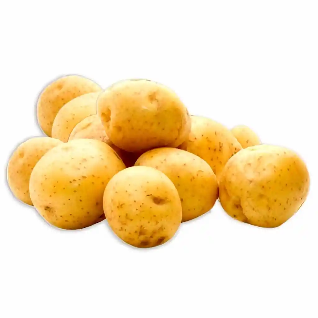 Papa Criolla