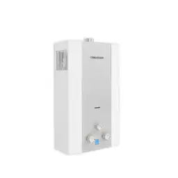 Calentador Tiro Forzado Challenger 1.7124.60.02