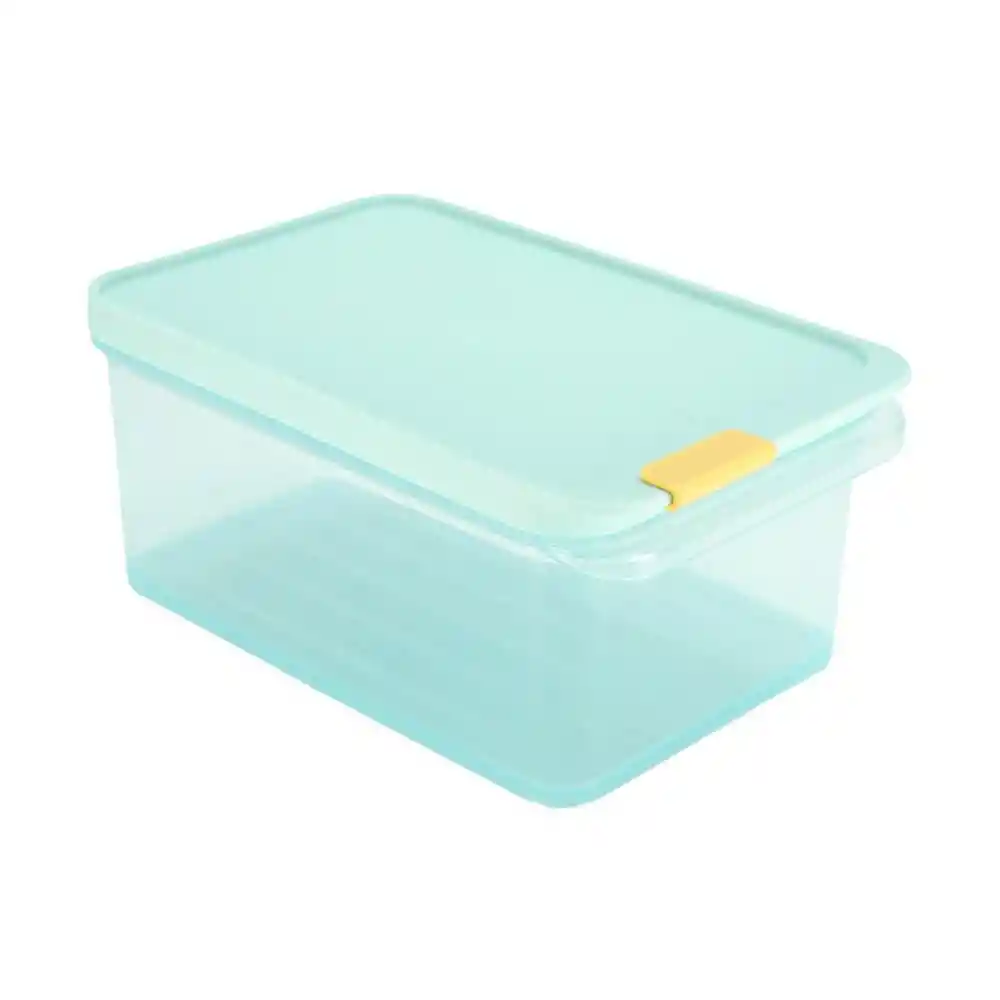Recipiente Freezer Fit Lock & Lock 4-1054705