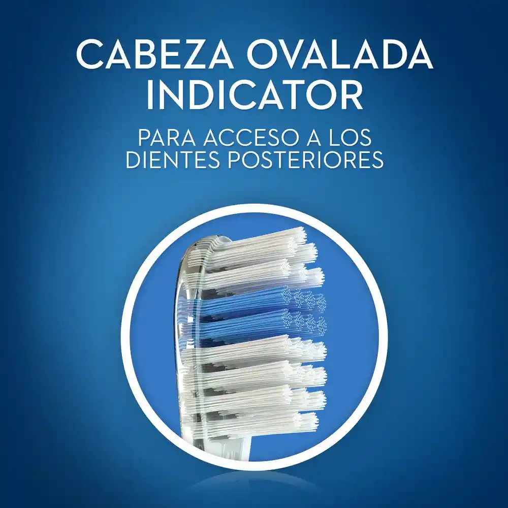 Oral-B Indicator Cepillo Dental