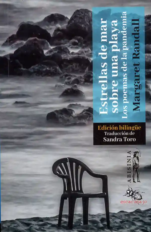 Estrellas de Mar Sobre Una Playa