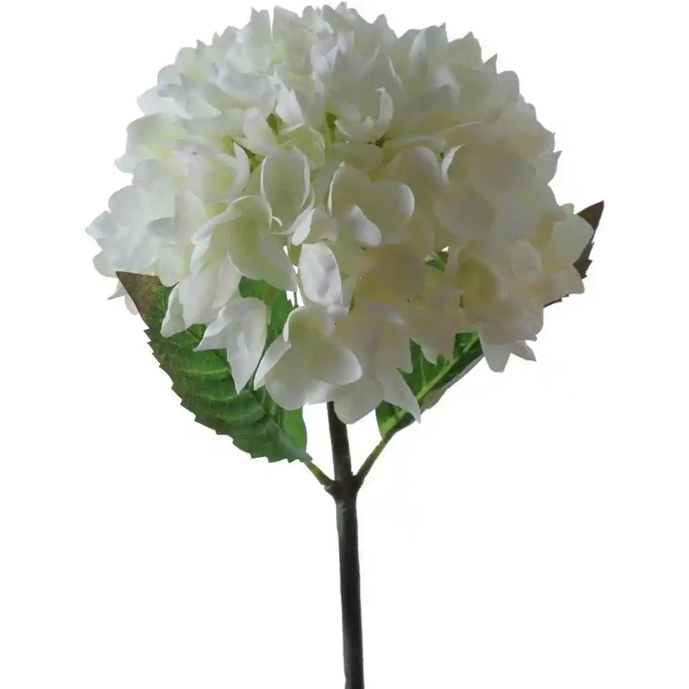 Flor Hortensia Blanca Concepts 420592991
