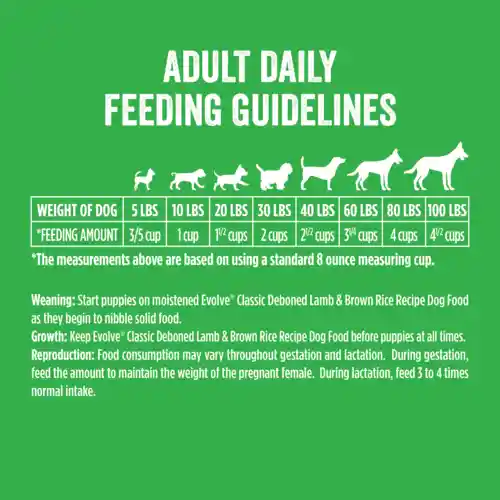 Evolve Alimento para Perro Adulto Cordero y Arroz 
