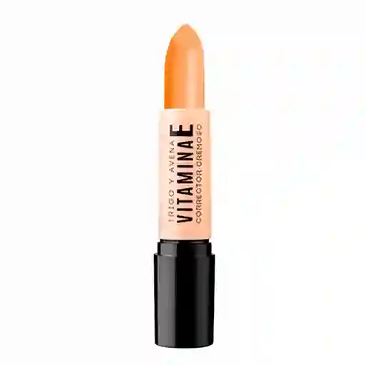 RAQUEL Corrector En Barra N.9 4.5 G