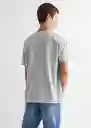 Camiseta Explore Gris Talla 20 Teen Niños Mango