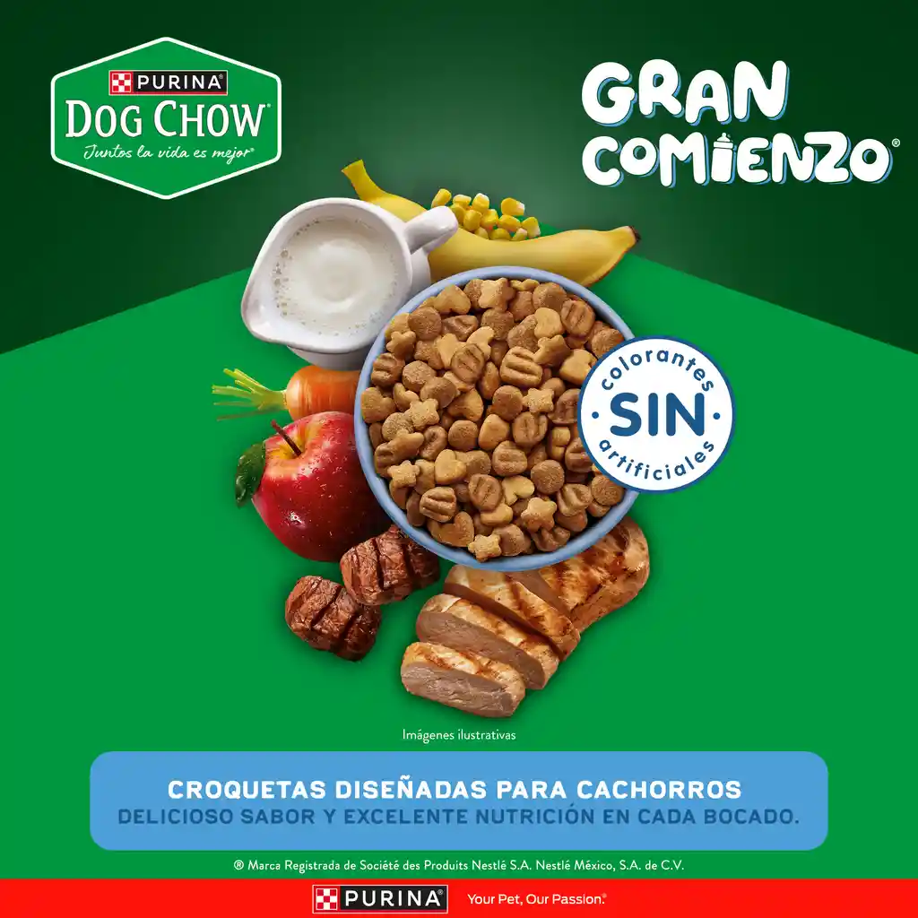 Comida para perro Dog Chow Cachorro medianos y grandes x 8 kg