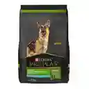 PRO PLAN SKIN & STOMACH ADULTO 3,5 kg