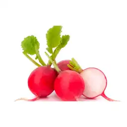 Hortifresco Rábano Rojo