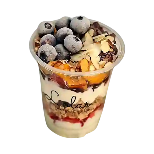 Parfait Proteina
