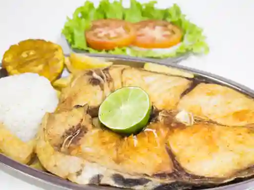 Bagre en Salsa