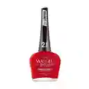 Esmalte Masglo Gel Evolution Distinguida