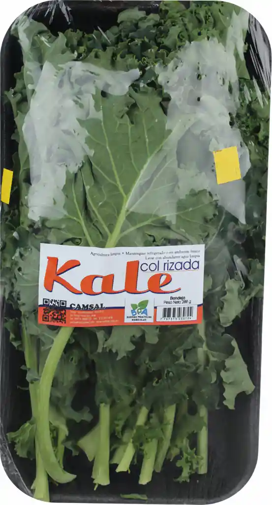Kale col risada