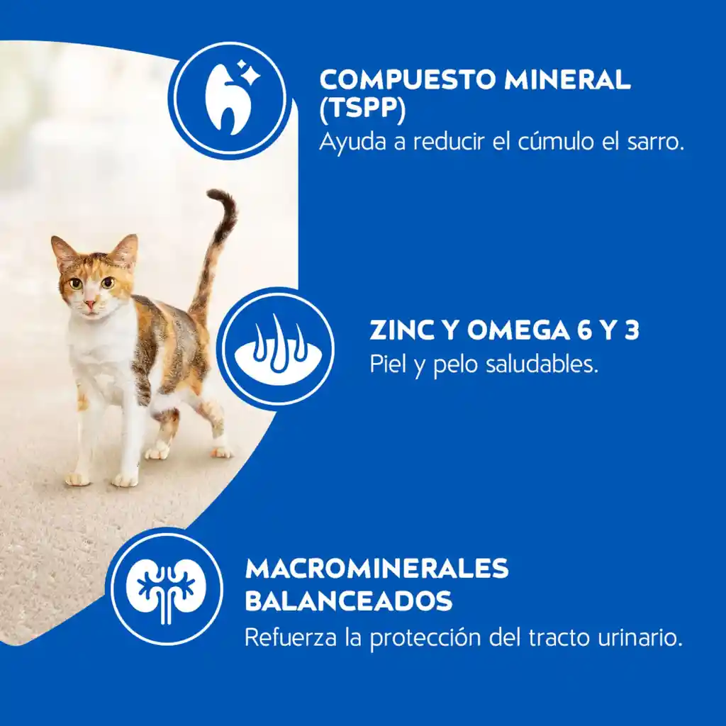 Comida para gatos Purina Cat Chow adulto delimix x 10kg