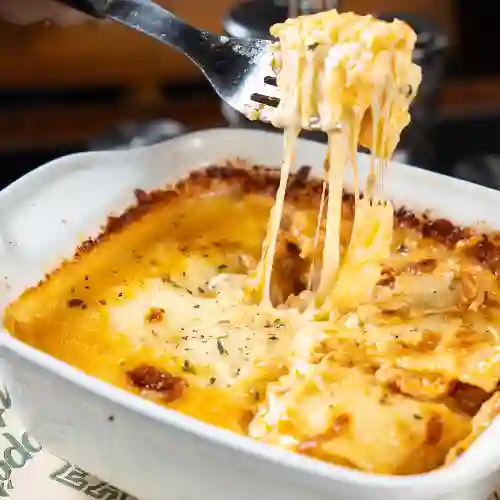 Bolognesa