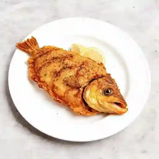 Robalo frito