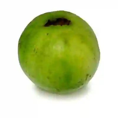 Guayaba Manzana