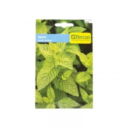 Fercon Semilla Aromática Menta