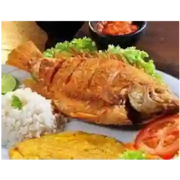 Tilapia Frita Mediana