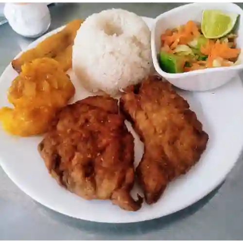 Bandeja Corriente