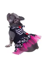 Disfraz Mascota Catrina Surtido Talla S