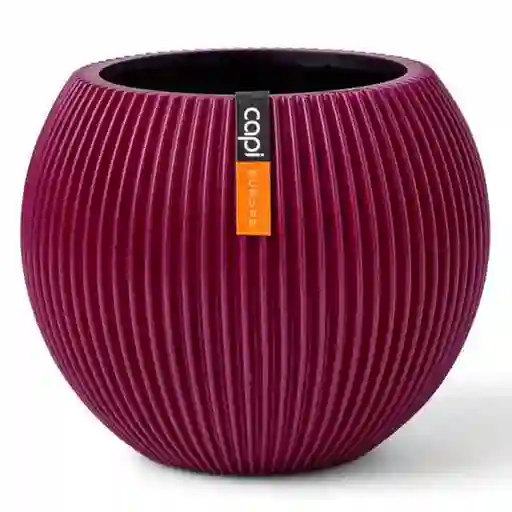 Tumatera Matera Ball Groove Morado 18 cm