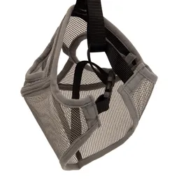 Bozal Calabaza Para Bulldog (Colores Surtidos) S