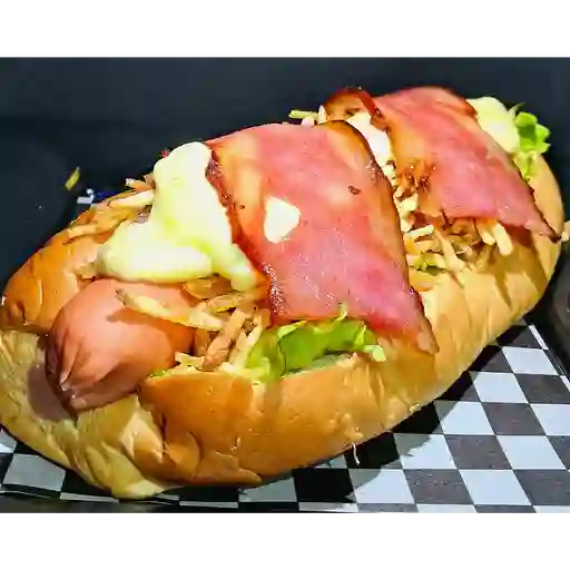 Perro especial