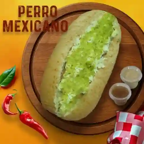 Perro Mexicano