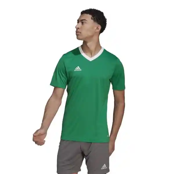 Adidas Camiseta Ent22 Jsy Verde Hombre Talla M Ref : HI2123