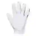 Under Armour Guantes Ua Medal Golf Glove Negro Talla LXL