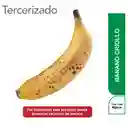 Banano Criollo
