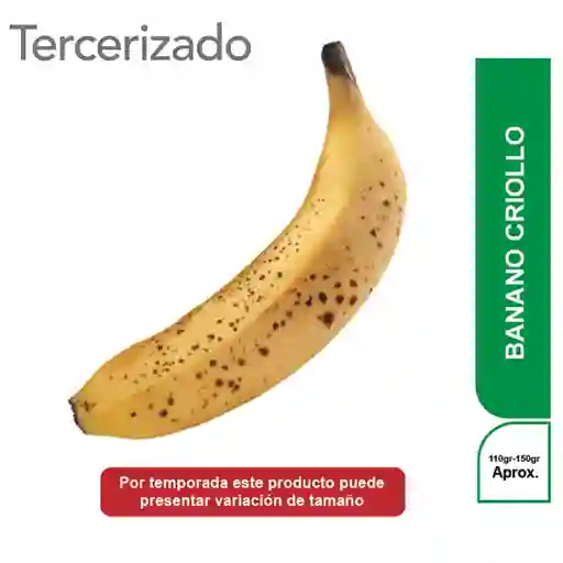 Banano Criollo