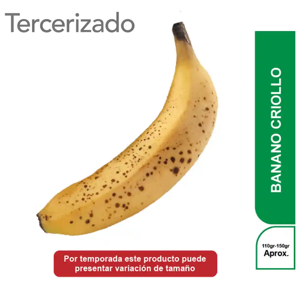 Banano Criollo