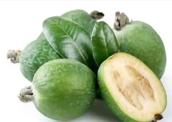 Guayaba Feijoa