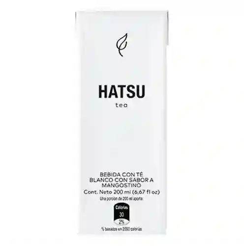 Hatsu Mangostino